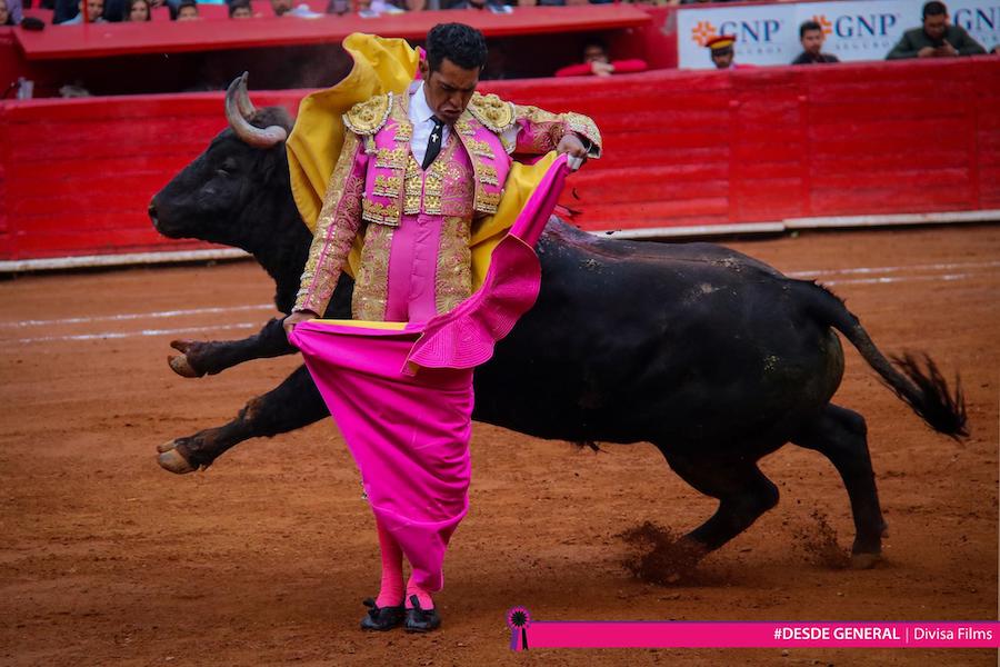 Promocionales para Redes Sociales y Televisión