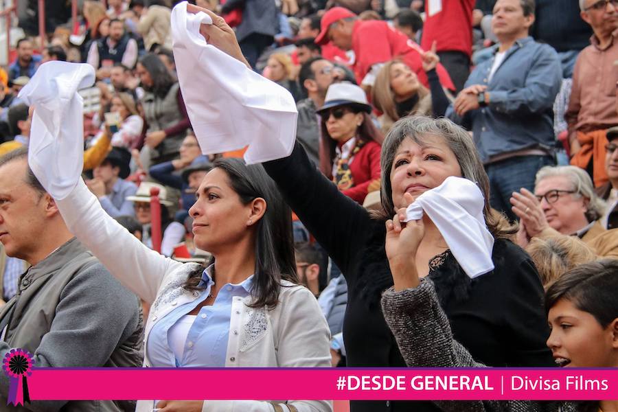 Promocionales para Redes Sociales y Televisión