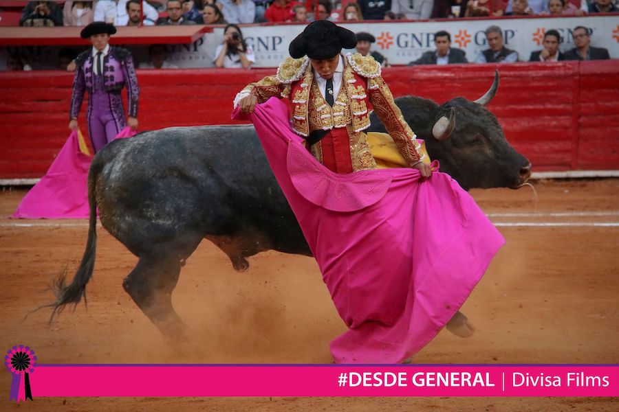 Promocionales para Redes Sociales y Televisión